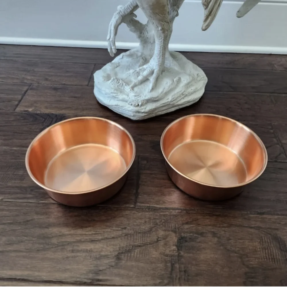 Boots & Barkley Stainless Steel Dog Bowl 1.5qt - 6 Cup Capacity (2 pack)
